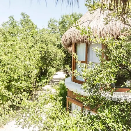 Mamasan Treehouses & Cabins
