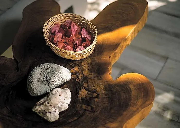Hotel Mamasan Treehouses & Tulum