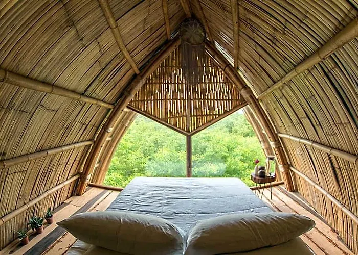 Mamasan Treehouses & 4*