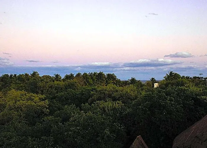 Mamasan Treehouses & 4*