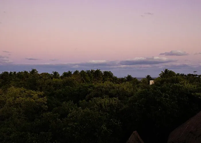 Mamasan Treehouses & Hotel