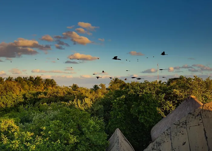 Mamasan Treehouses &
